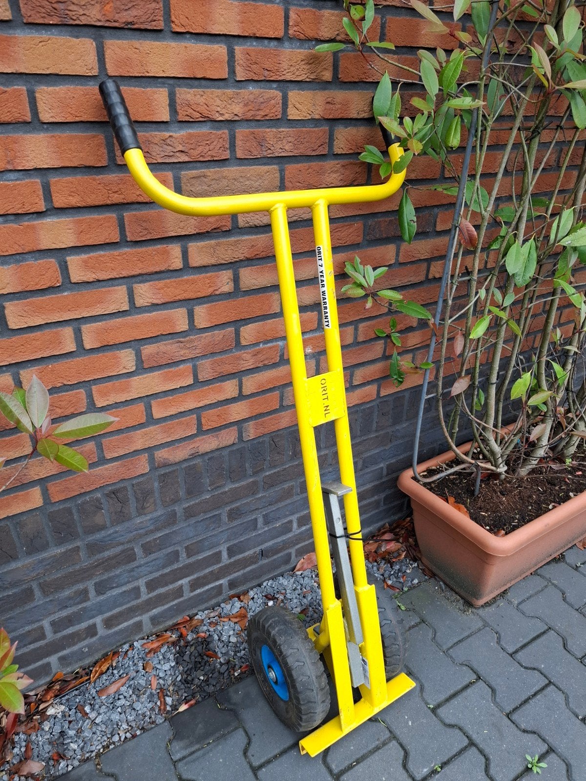 Gele tegeldonkey - Orit tegellegger, 100 liter of meer, Ophalen, Gebruikt, Overige typen