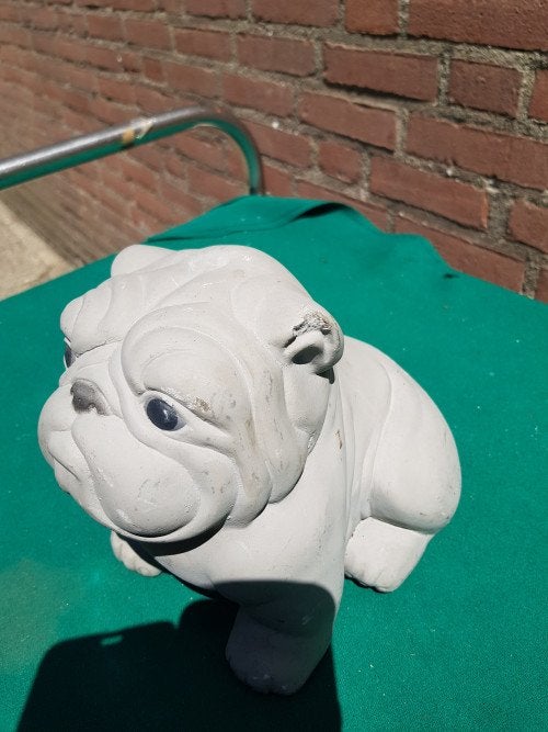 -	Tuinbeeld buldog van beton, Ophalen of Verzenden, 'T Olde Gre-j, Info@toldegrej.nl, Endepoelstraat 20f Didam