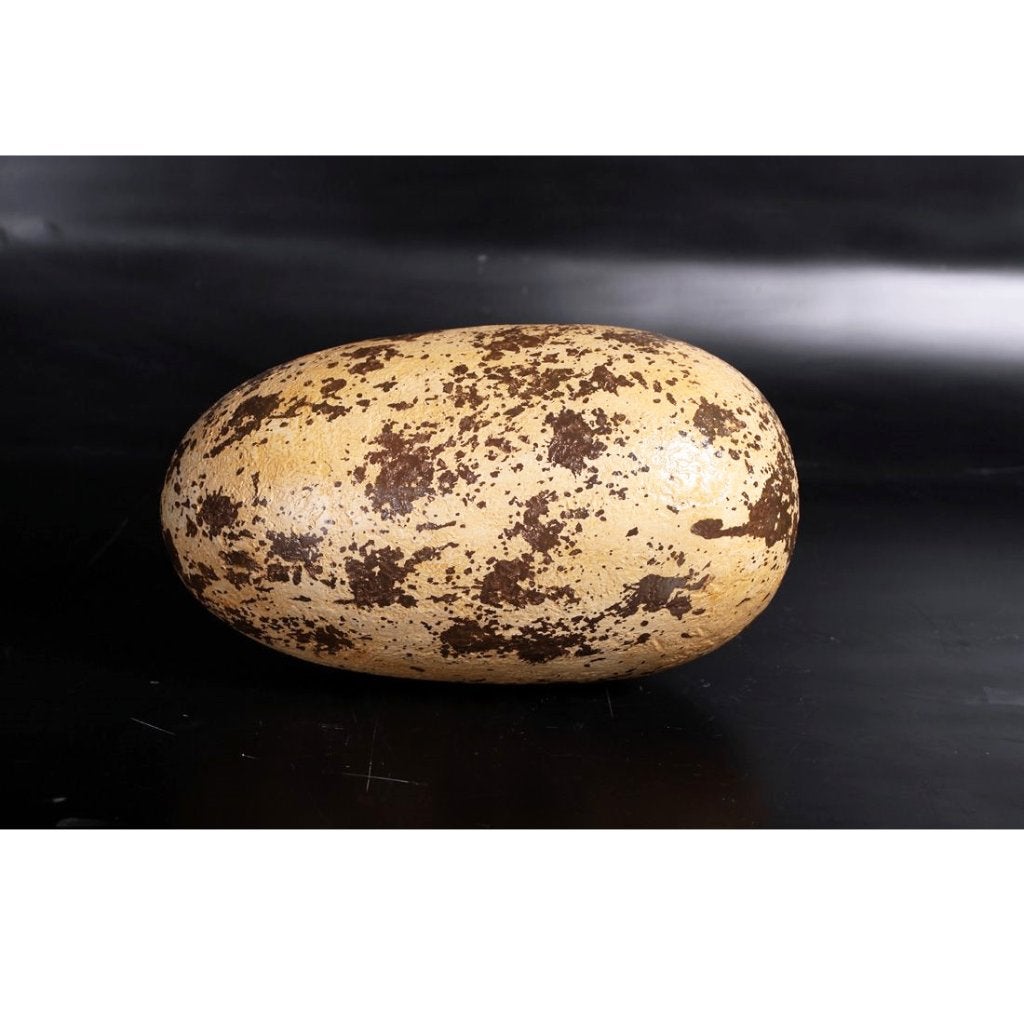 Theropod Egg 12″ – Dinosaurus Ei decoratie, Ophalen, Nieuw, Overige typen