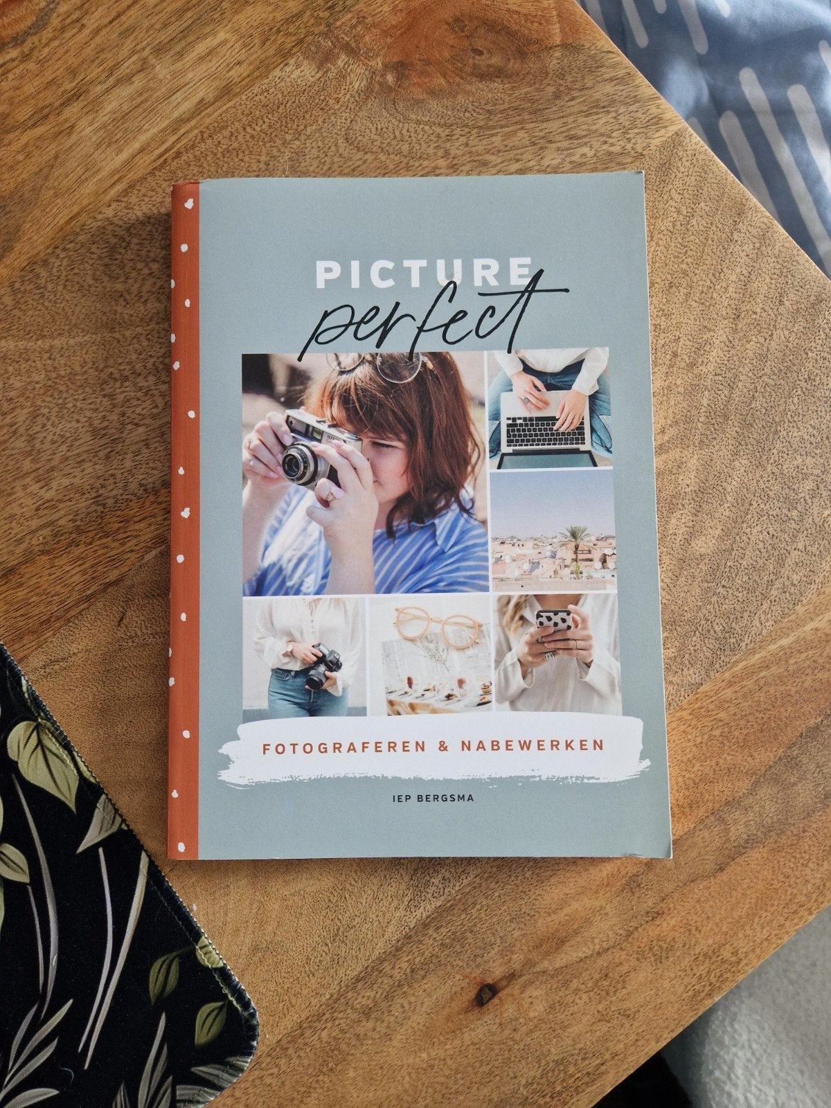 Iep Bergsma - Picture perfect, Ophalen of Verzenden, Fotograferen en Filmen, Iep Bergsma