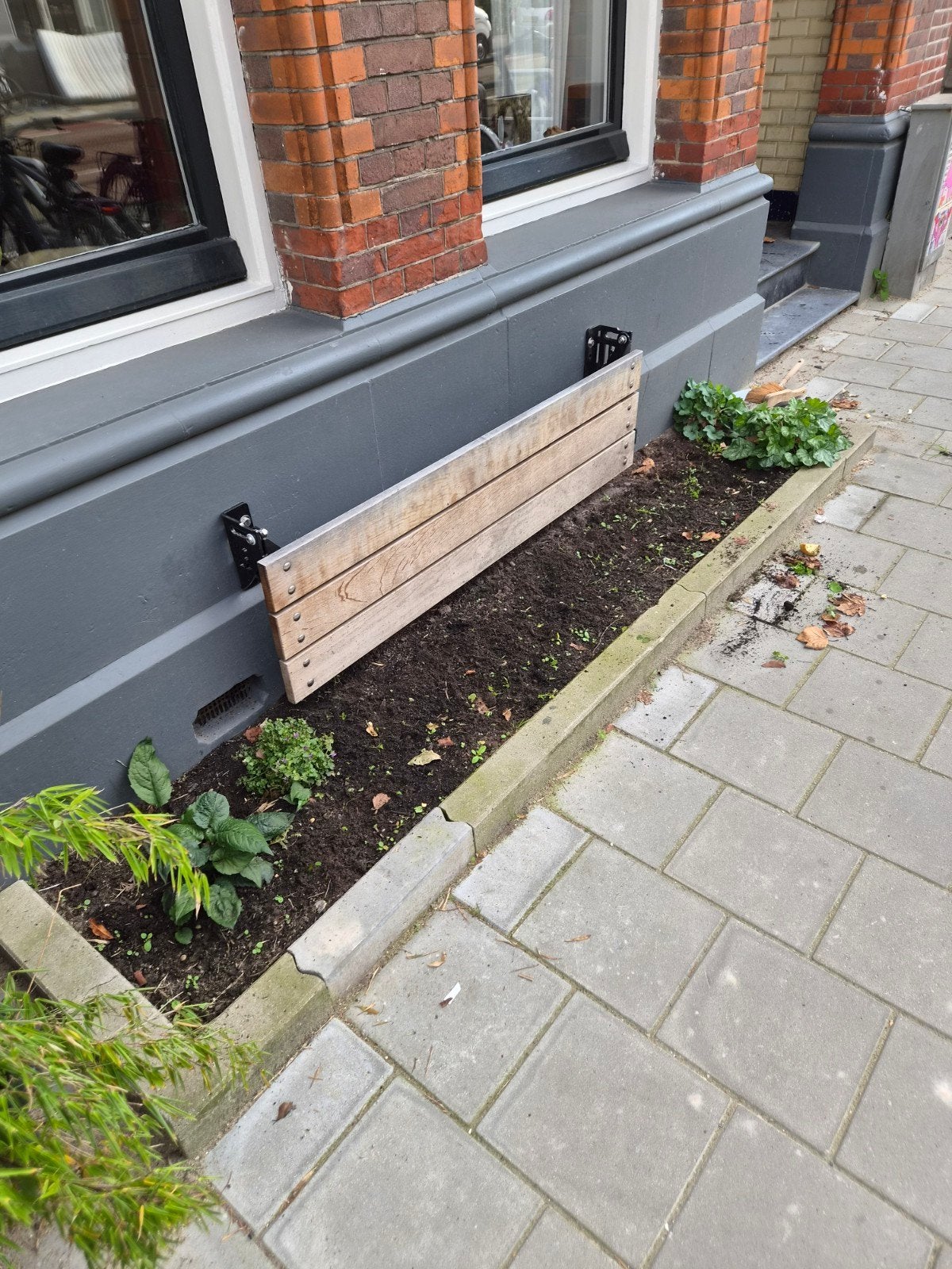 gezocht: hulp bij aankleden en beplanten voortuin, Tuin- of Vijveraanleg