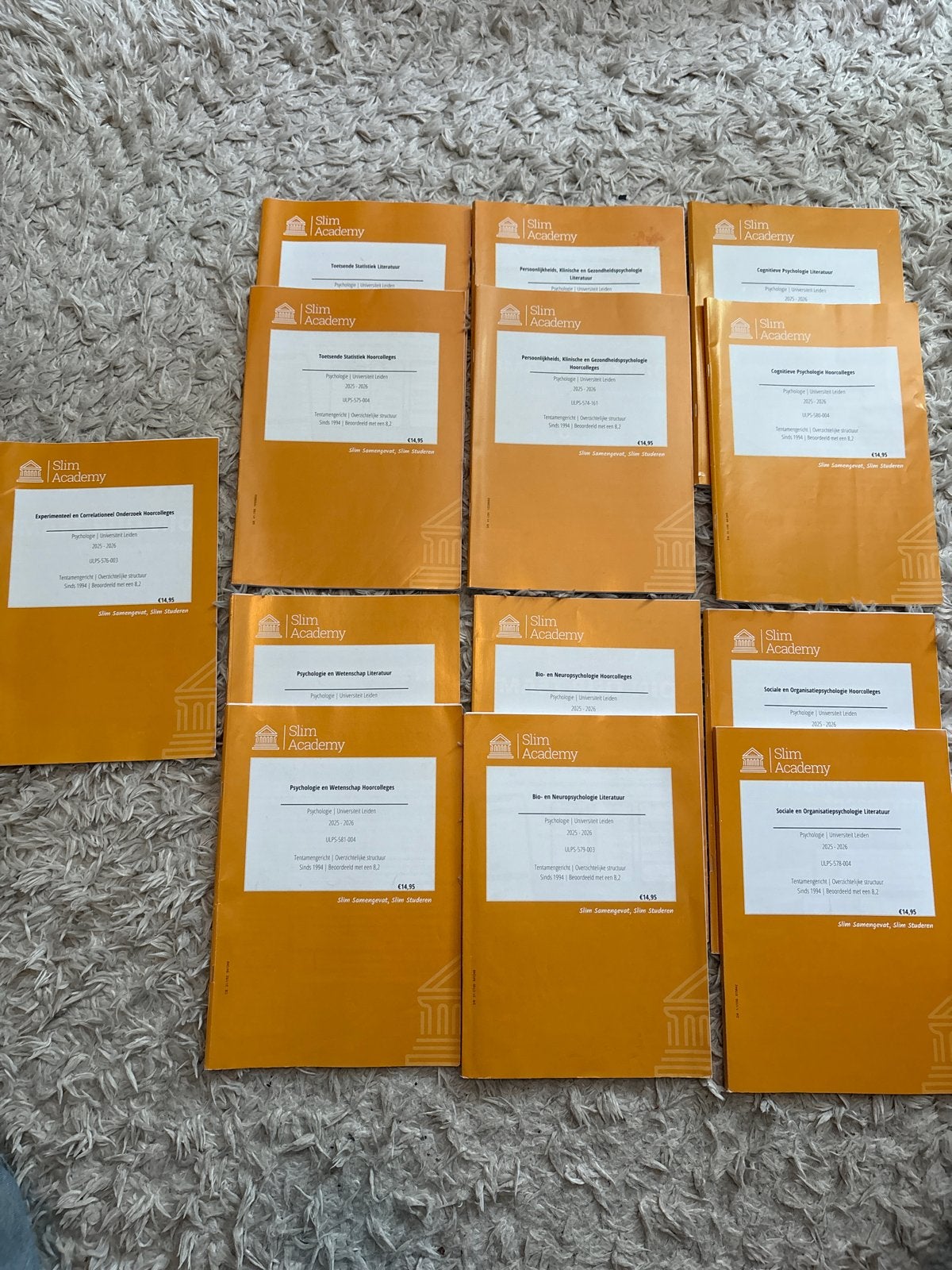 Slim Academy samenvattingen Psychologie Universiteit Leiden, Boeken, Ophalen of Verzenden, Gamma, Gelezen, WO