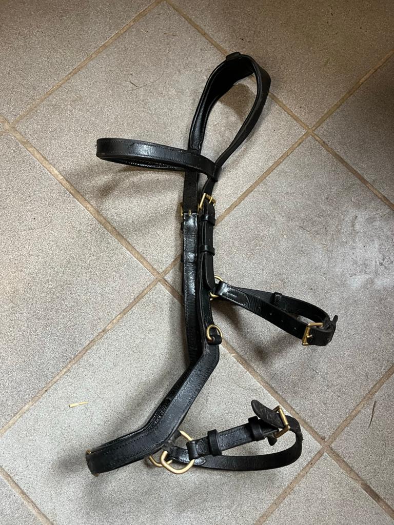 Micklem Rambo trainer hoodstel full, Dieren en Toebehoren, Paarden en Pony's | Hoofdstellen en Tuigage, Ophalen of Verzenden, Gebruikt