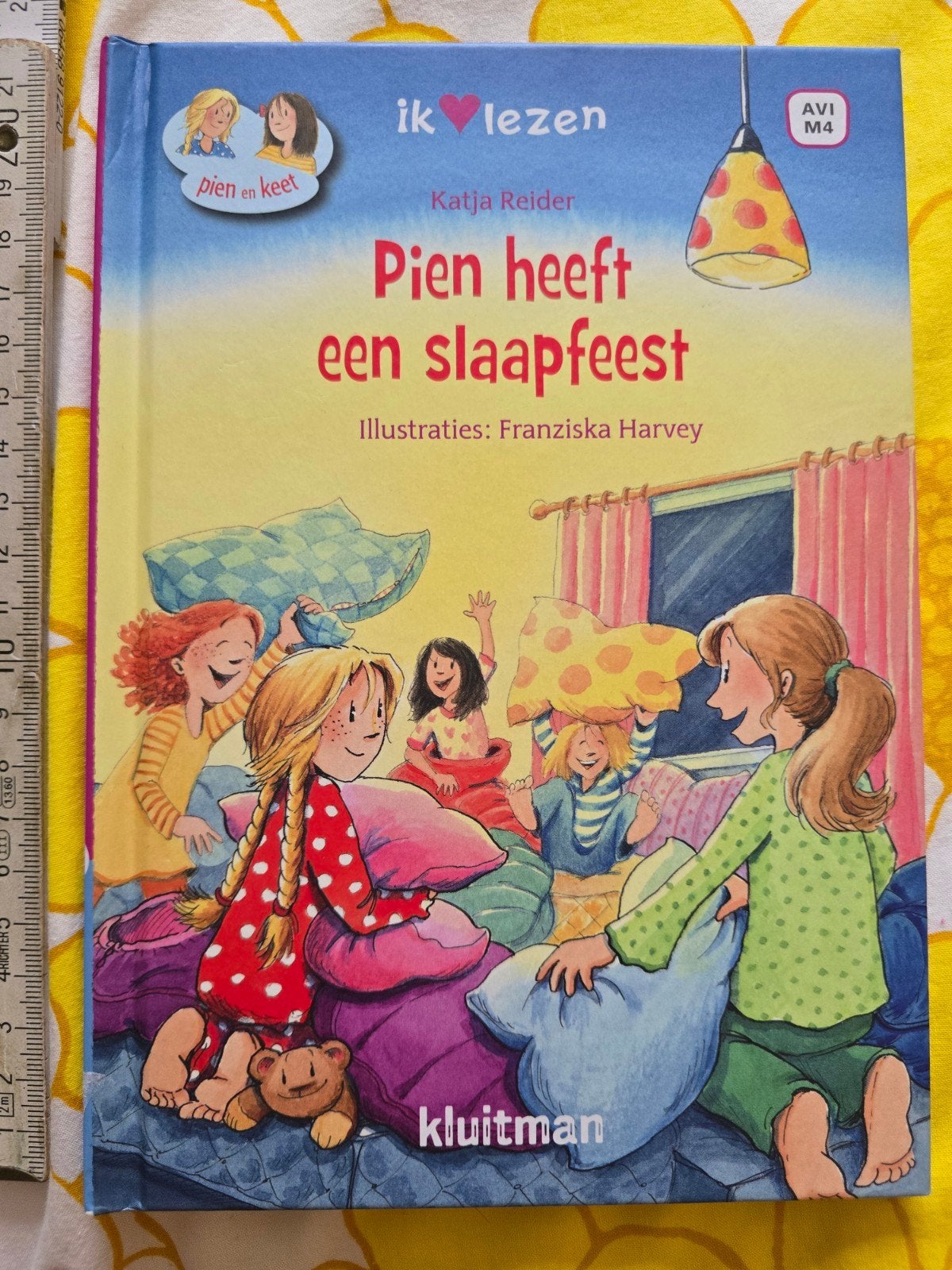 Pien heeft een slaapfeest (M4)  - Katja Reider, Ophalen of Verzenden, Zo goed als nieuw, Katja Reider