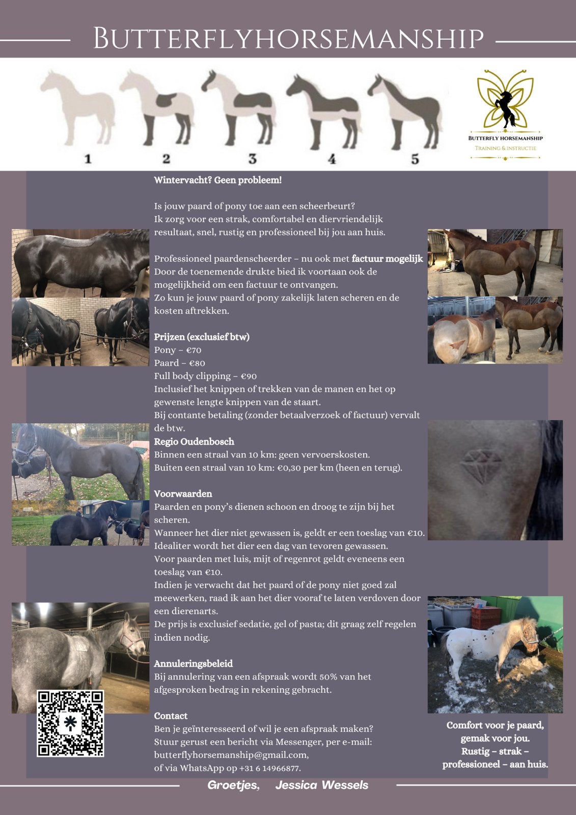 Scheren van paarden en pony’s