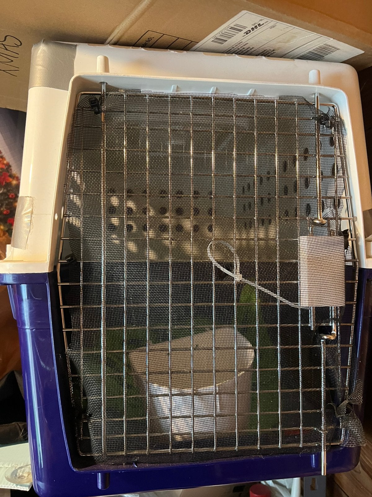 Large Pet Travel Crate, Ophalen of Verzenden, Zo goed als nieuw