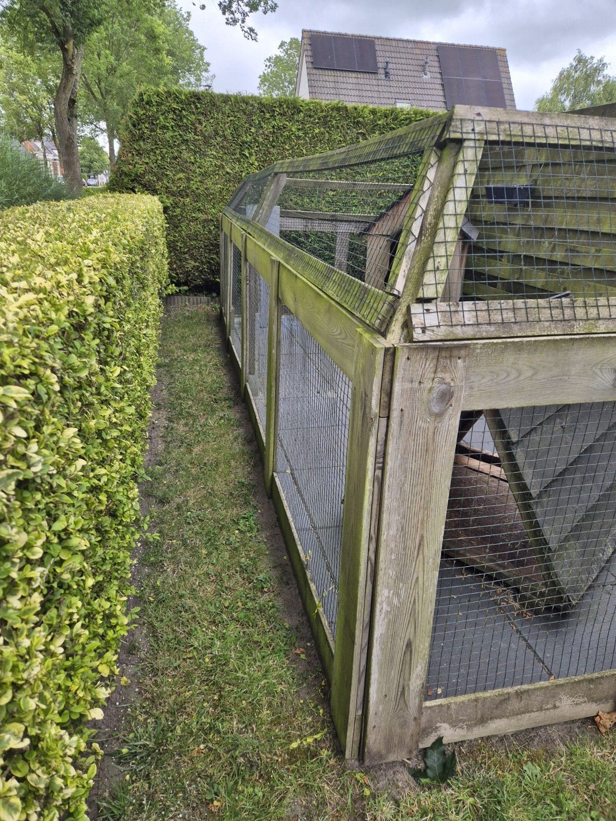 Te Koop Konijnenren., Dieren en Toebehoren, Ophalen, Overige typen