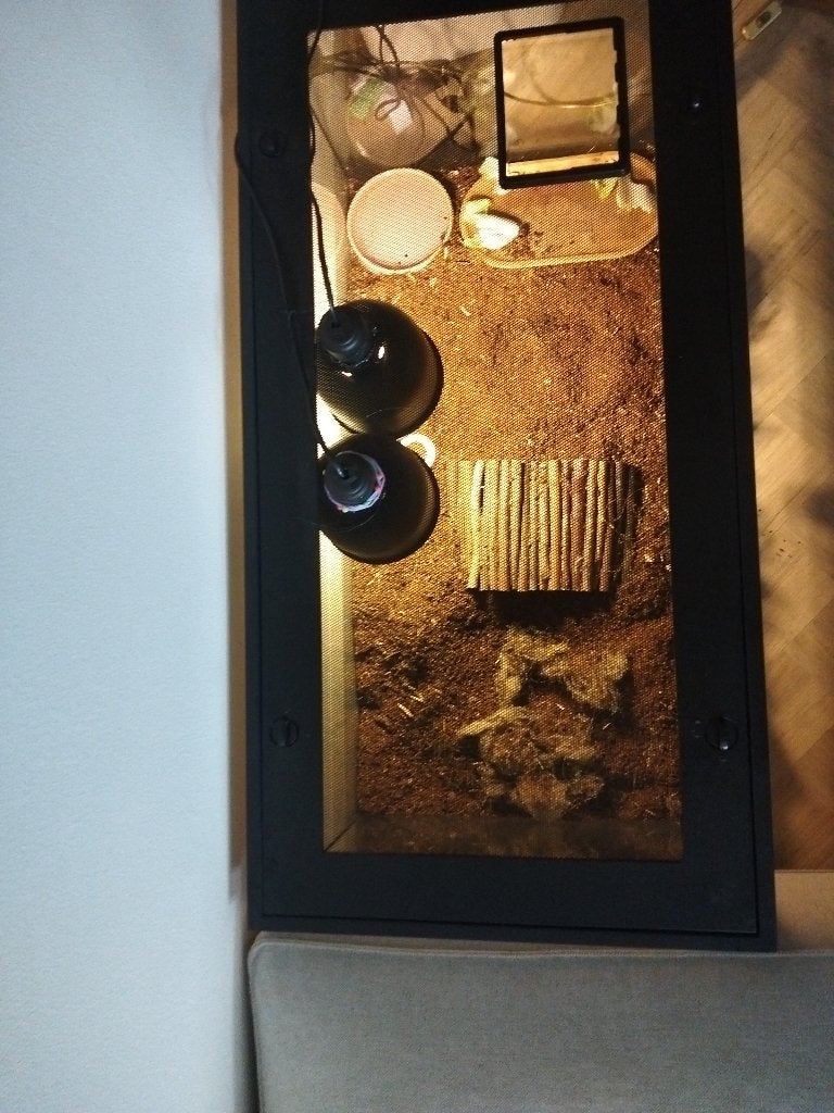 Terrarium almost new, Dieren en Toebehoren, Reptielen en Amfibieën | Toebehoren, Ophalen, Zo goed als nieuw, Terrarium of Paludarium