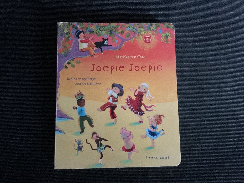 Joepie Joepie - Marijke ten Cate, Marijke ten Cate, Fictie algemeen, Ophalen of Verzenden, Zo goed als nieuw