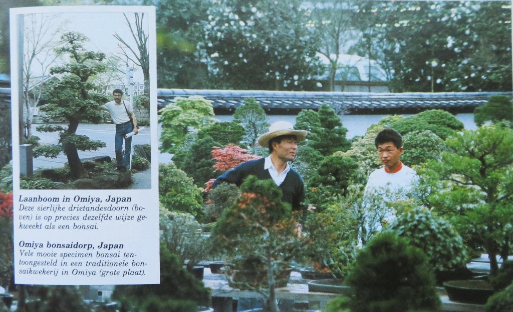 BONSAI - Het Complete Handboek, Ophalen of Verzenden, Gelezen, Overige soorten