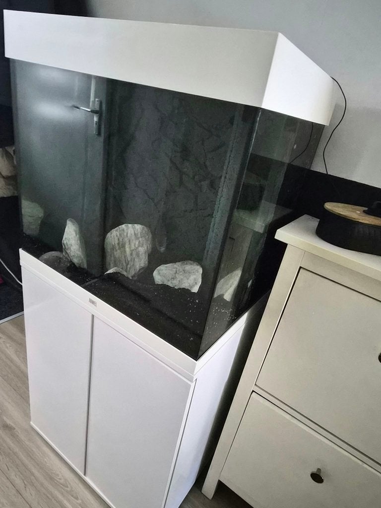 Juwel lido 120 60cm breed incl helialux, Ophalen, Zo goed als nieuw, Leeg aquarium