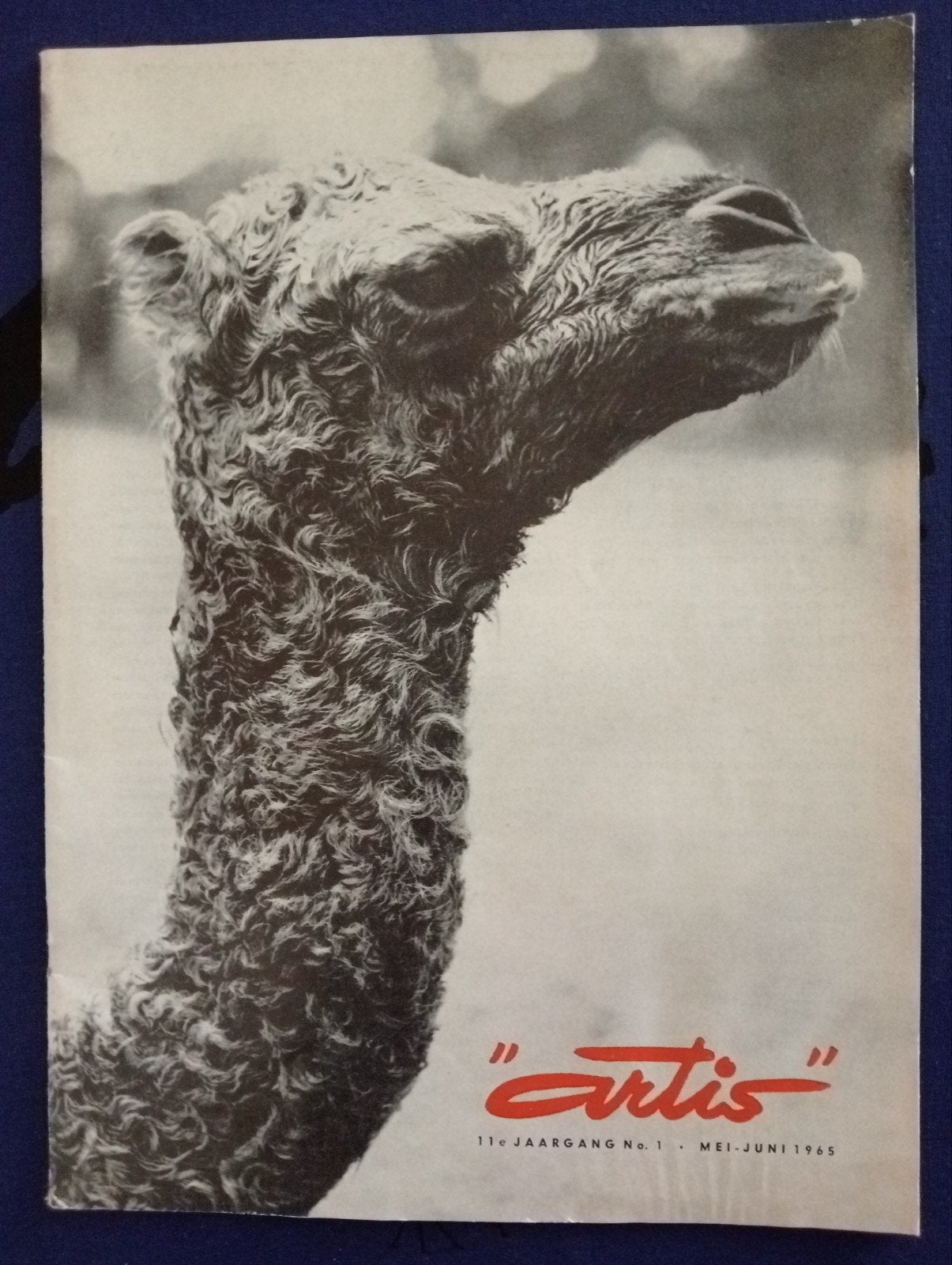 Artis Magazine - 11e Jaargang No. 1 - Mei-Juni 1965, Ophalen of Verzenden, Gelezen, Overige typen