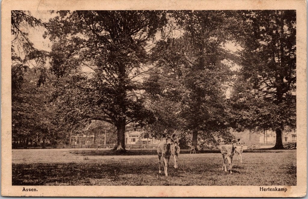 Assen Hertenkamp - 6 oude ansichtkaarten, Verzenden, Voor 1920, Gelopen, Drenthe