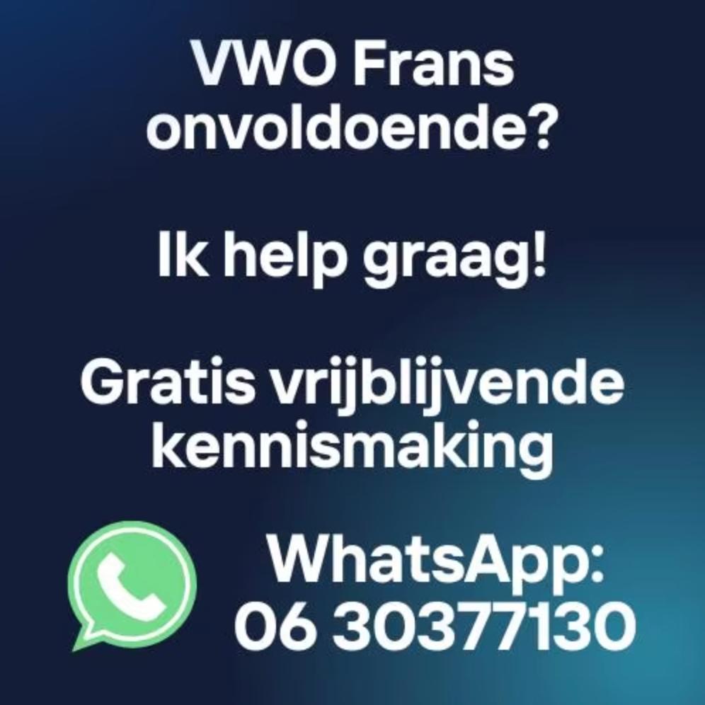 1:1 Online Betaalbare Bijles Frans VWO - Focus Op Grammatica, Diensten en Vakmensen, Bijles, Privé-les en Taalles, Bijles