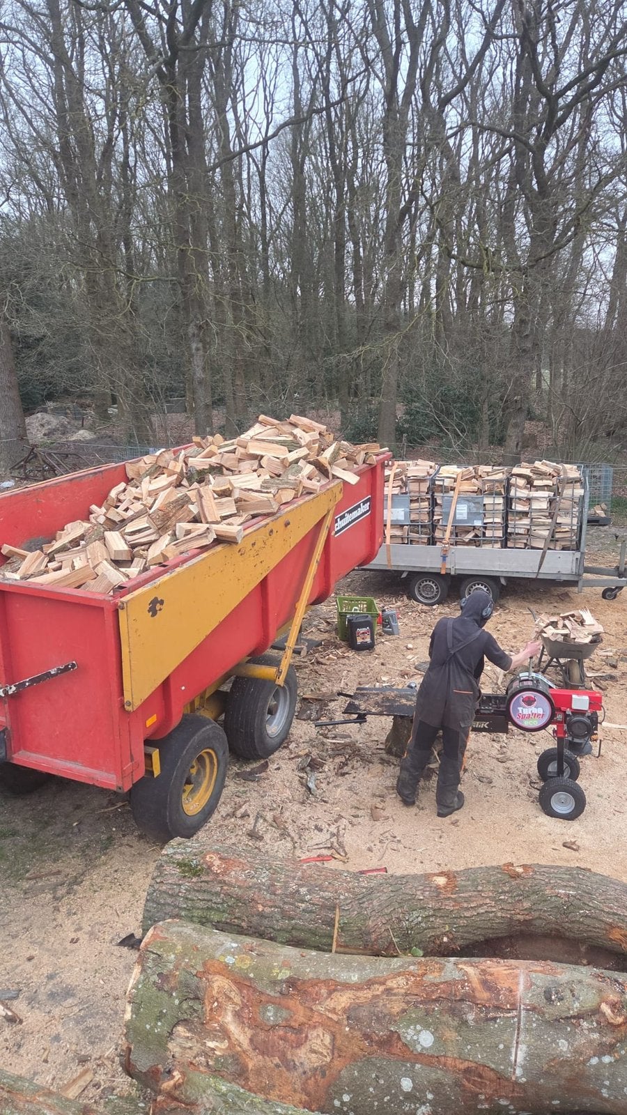 Brandhout tekoop!, 6 m³ of meer, Ophalen, Eikenhout, Blokken