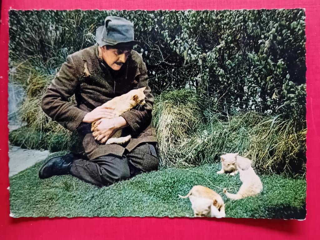 Ansichtkaart Swiebertje, Ophalen of Verzenden, Foto of Kaart