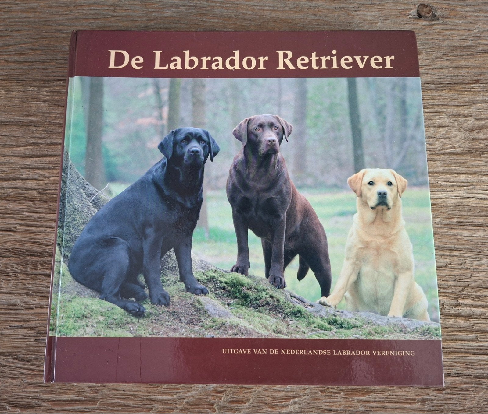 De Labrador Retriever boek Nederlandse Labrador Vereniging, Honden, Nederlandse Labrador Vereniging, Ophalen of Verzenden, Zo goed als nieuw
