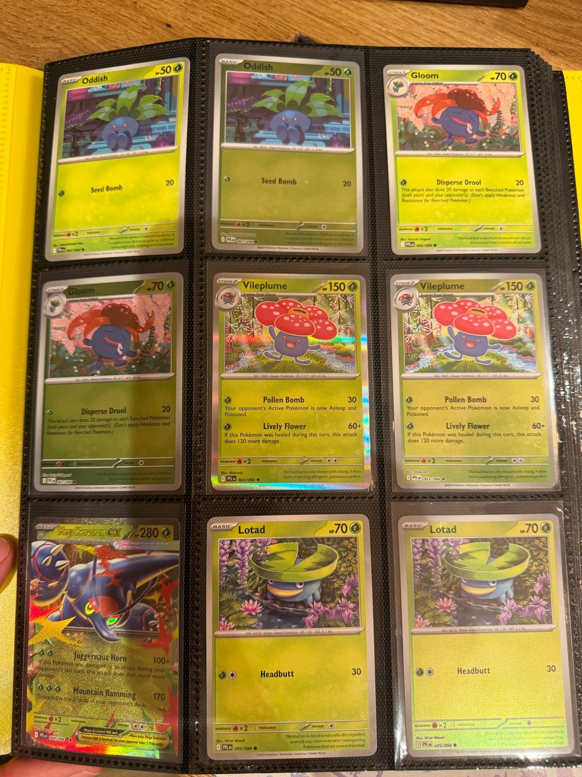 Bijna complete base set Phantasmal Flames, Ophalen of Verzenden, Zo goed als nieuw, Meerdere kaarten, Foil