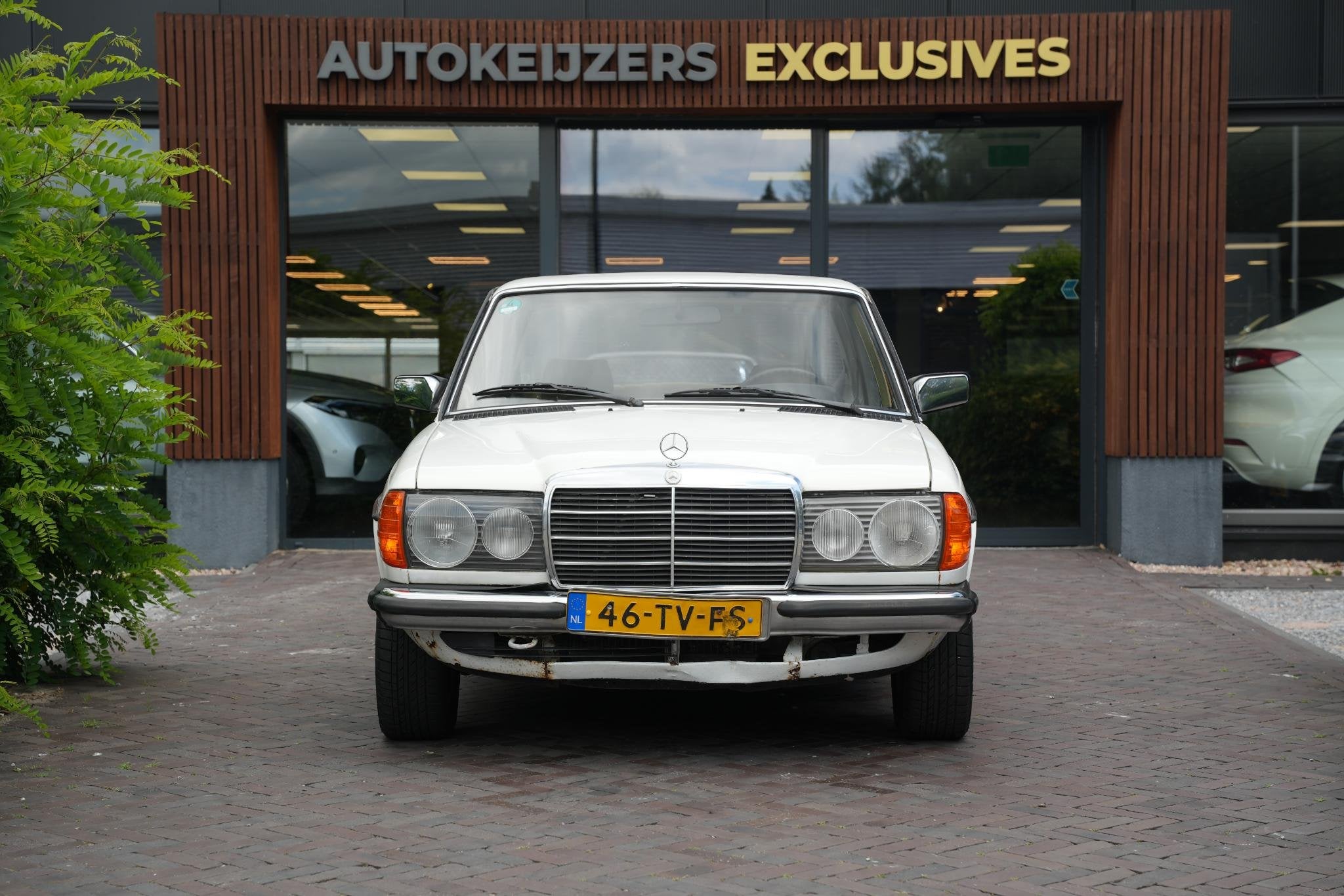 Mercedes-Benz 200-280 (W123) 200 Oldtimer 1982 Benzine LPG, Auto's, 94 pk, Gebruikt, 1340 kg, 4 cilinders