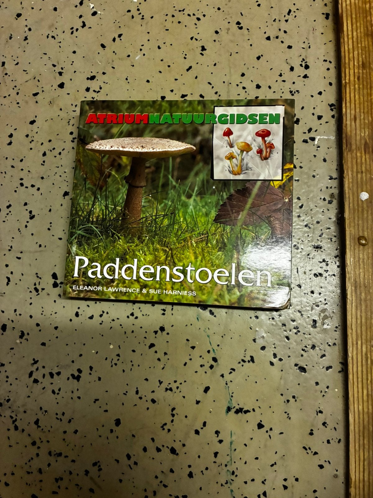E. Lawrence - Atrium natuurgids: Paddenstoelen, Bloemen, Planten en Bomen, Ophalen of Verzenden, Zo goed als nieuw, E. Lawrence; S. Harniess