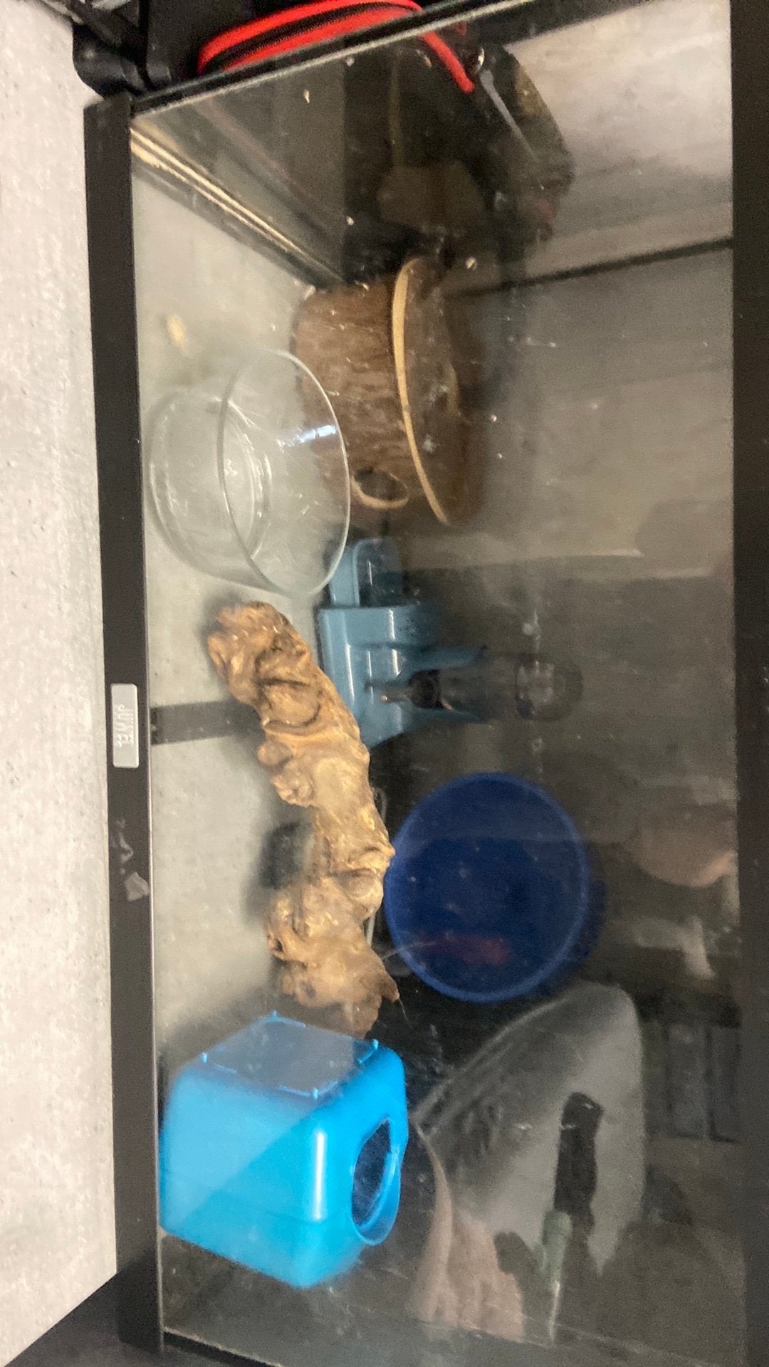 Hamster territorium inclusief toebehoren, Kooi, Minder dan 75 cm, Zo goed als nieuw, Hamster