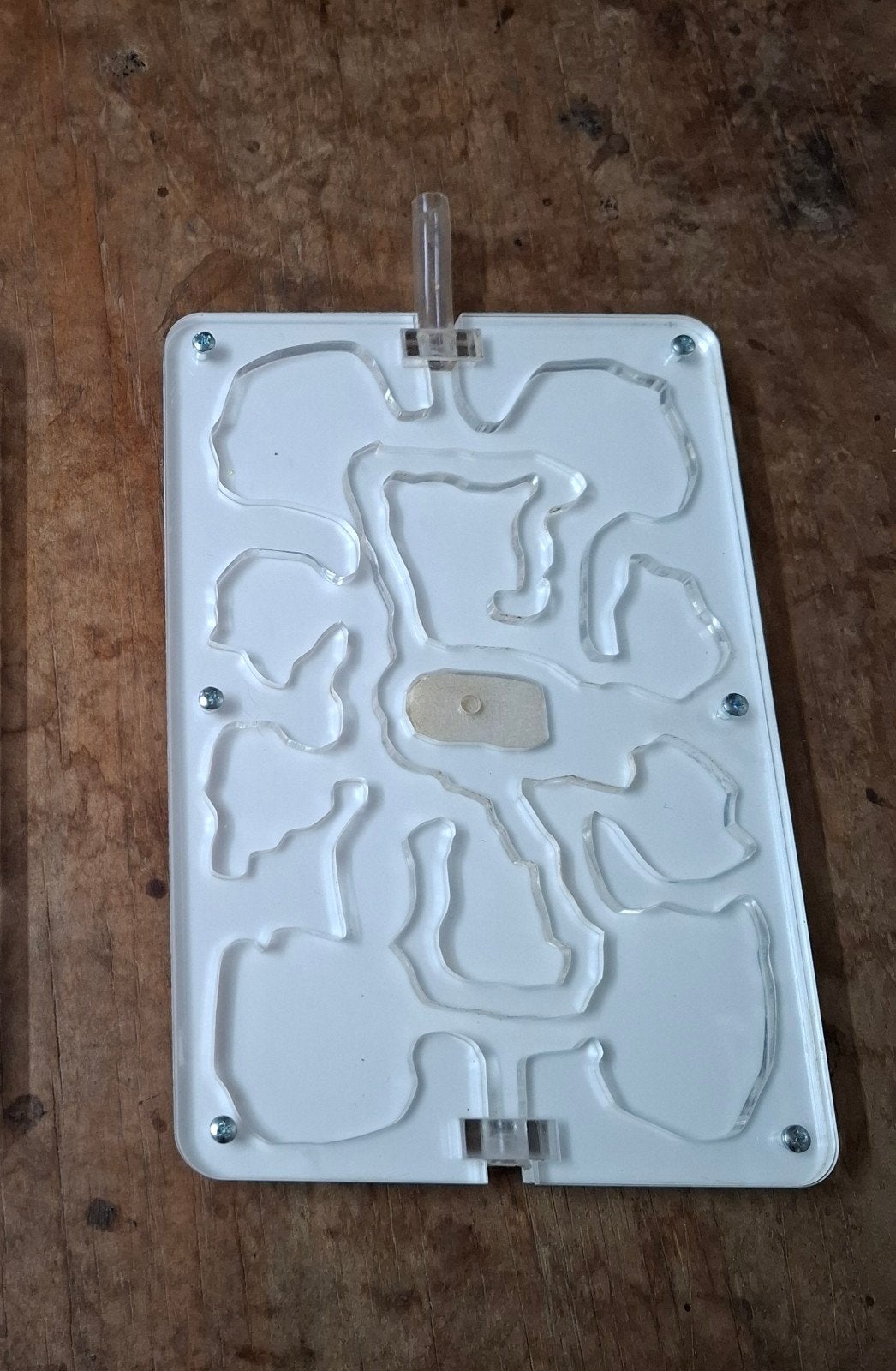 Mierenboerderij formicarium, Mieren