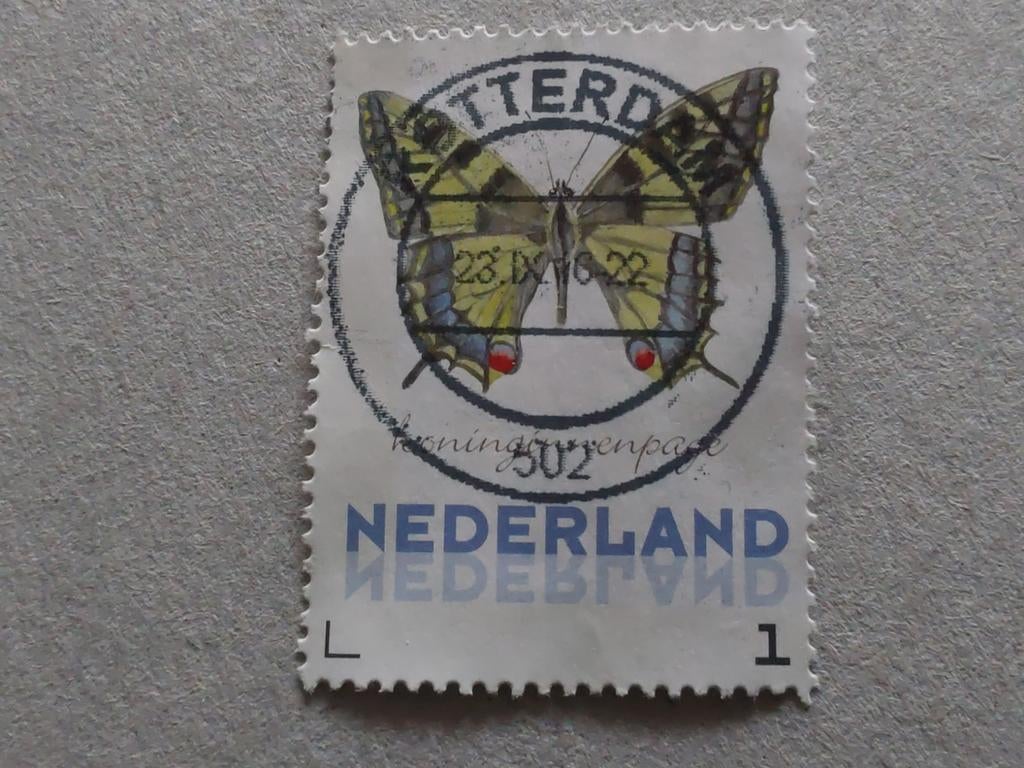 Nederland - Najaar - Koninginnepage - 2014, Ophalen of Verzenden