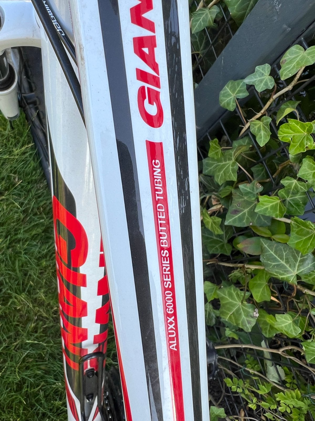 Mountain bike mt L, Fietsen en Brommers, Fietsen | Mountainbikes en ATB, Ophalen, Gebruikt, Hardtail, Heren