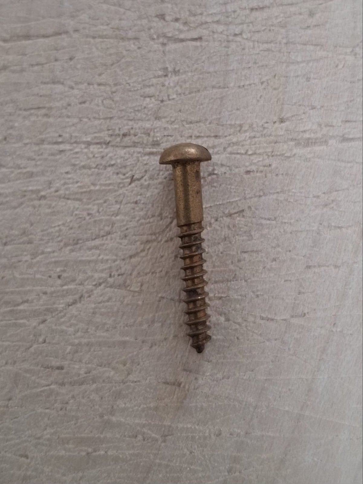 Messing schroeven met bolkop/ sleuf( 3 x 20 mm), Ophalen of Verzenden, Gebruikt, Minder dan 50 mm, Schroeven