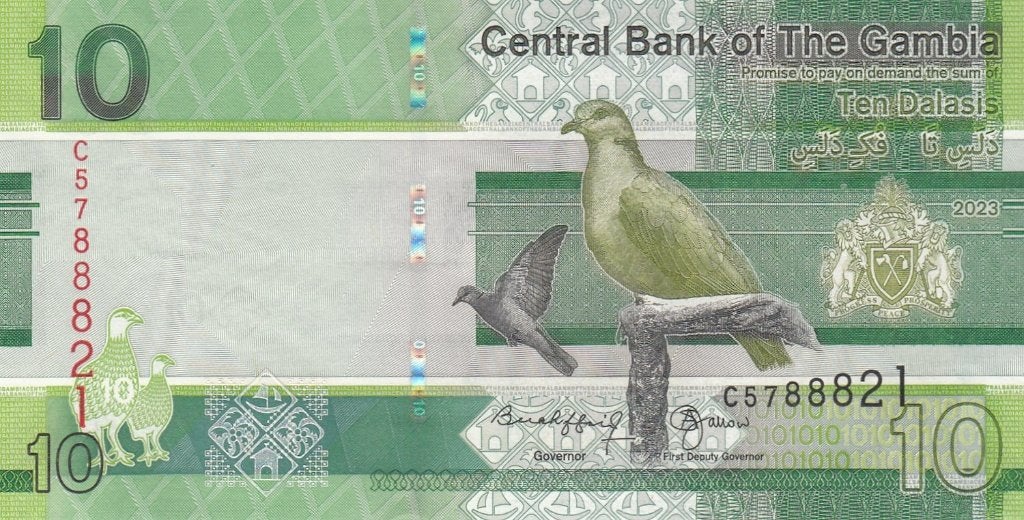 Gambia bankbiljet 10 Dalasis 2023 Birds and Arms, Pick New, Ophalen of Verzenden, Overige landen, Los biljet