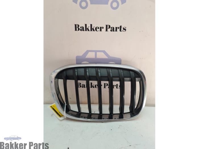 Grille van een BMW X1, Gebruikt, -, -, Ophalen of Verzenden