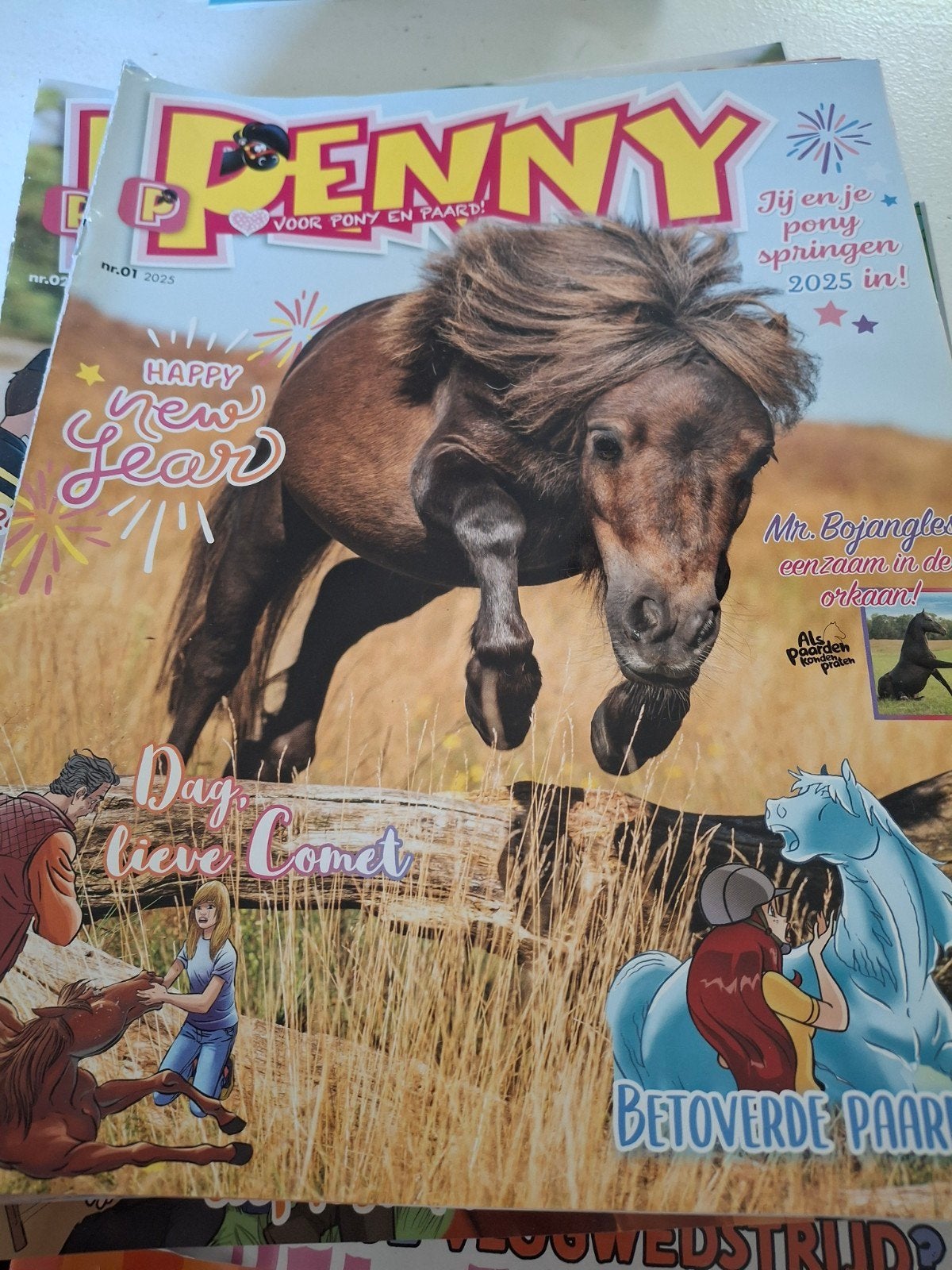 Penny tijdschriften - 19 van de 22 nummers (2025), Ophalen of Verzenden, Gelezen, Overige typen