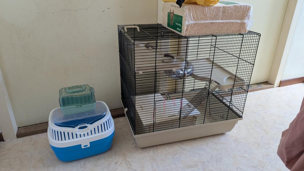 Hamster kooi met hooi en toebehoren, Dieren en Toebehoren, Knaagdieren en Konijnen | Hokken en Kooien, Kooi, Gebruikt, Minder dan 75 cm
