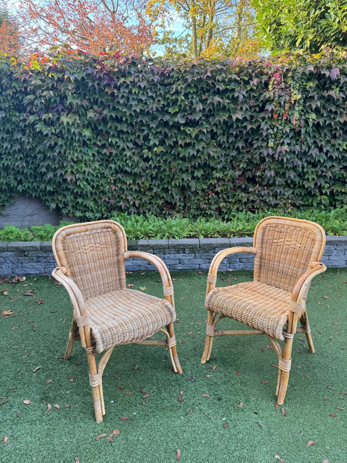 Set van 2 rotan stoelen, Ophalen, Gebruikt, Twee, Overige kleuren