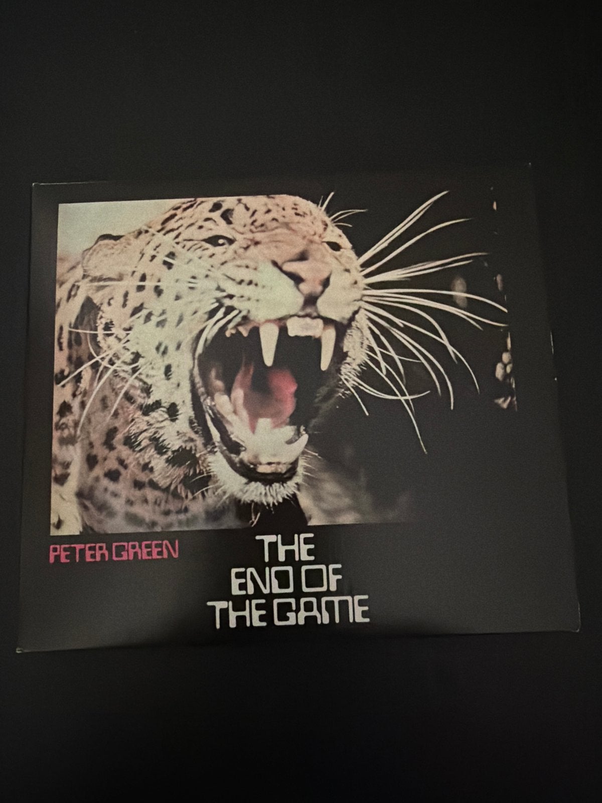 Peter Green - The End of the Game, Cd's en Dvd's, Met bonustracks, Verzenden, Blues Rock, Zo goed als nieuw