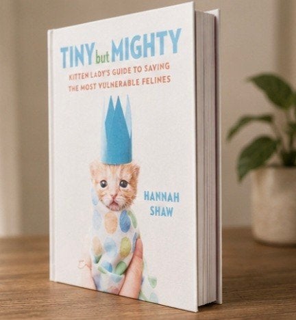 Tiny but Mighty: Kitten Lady's Guide - Hannah Shaw, Boeken, Ophalen of Verzenden, Katten, Hannah Shaw, Zo goed als nieuw
