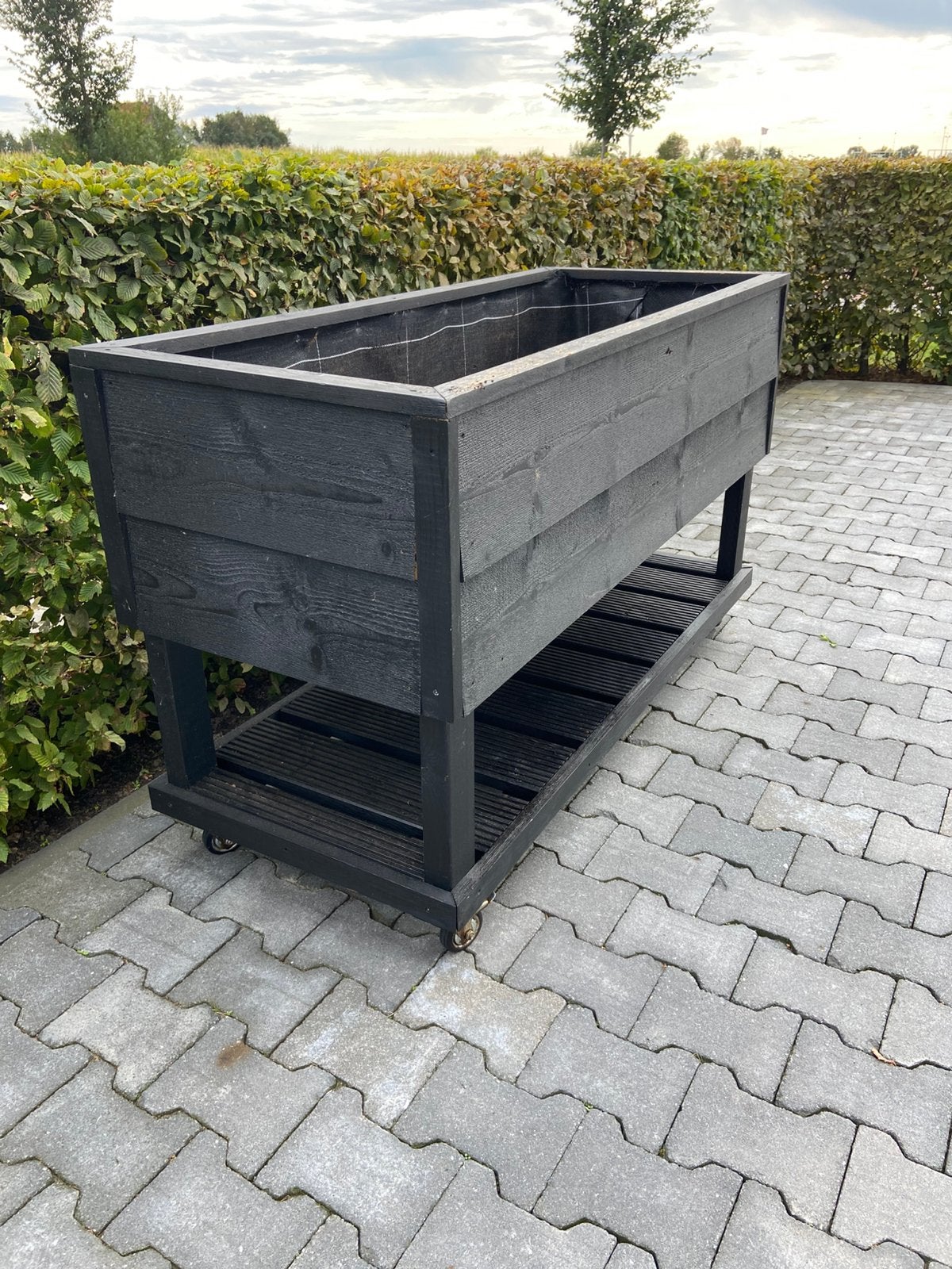 Kweekbak / moestuinbak, Ophalen, 100 cm of meer, Zo goed als nieuw, 60 cm of meer