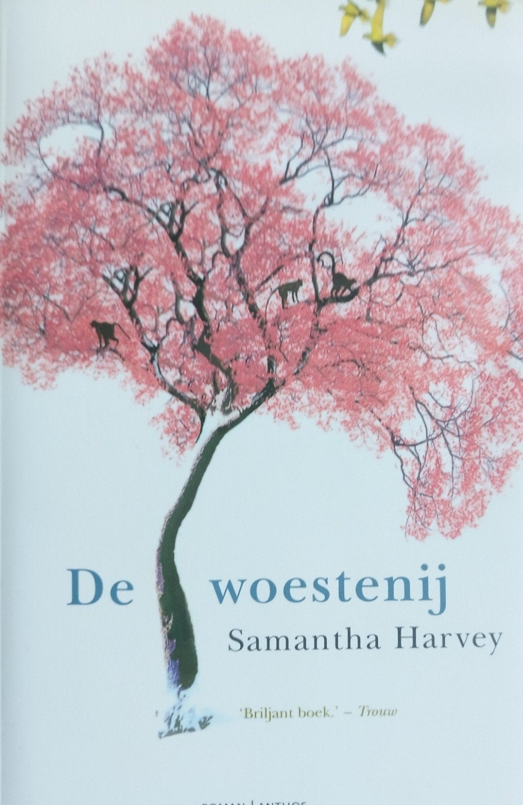 De woestijn - Samantha Harvey (Roman), Boeken, Ophalen of Verzenden, Nieuw, Samantha Harvey, Europa overig