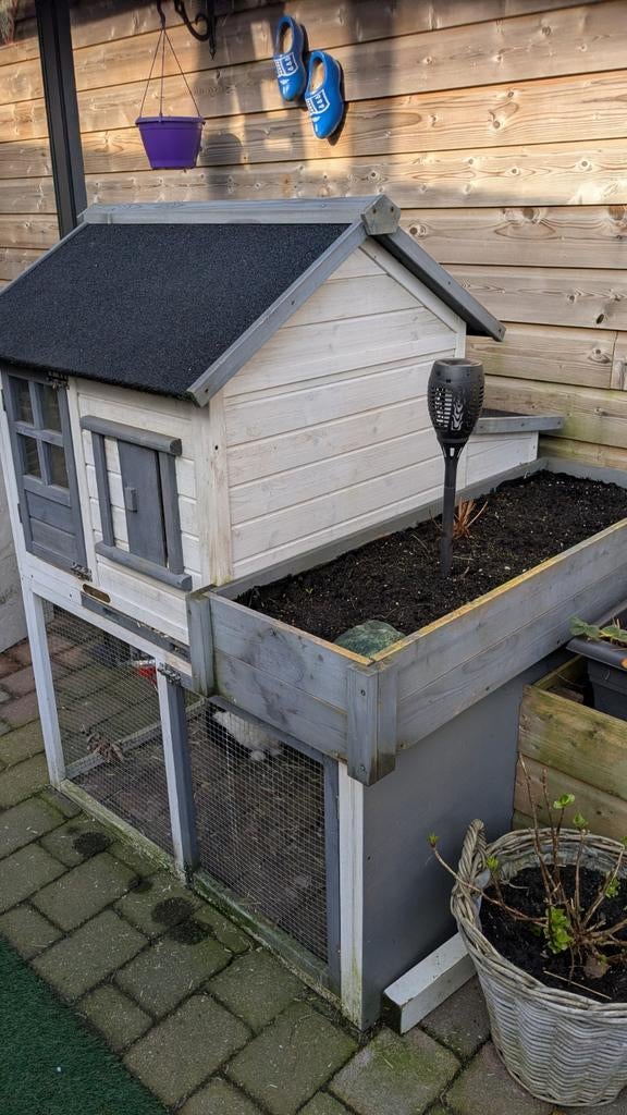 Groot konijnen hok met 2 lieve konijnen., Dieren en Toebehoren, Ophalen, Kippenhok of Kippenren