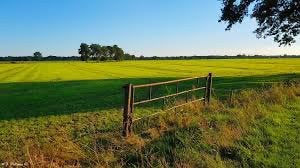 Weiland gezocht