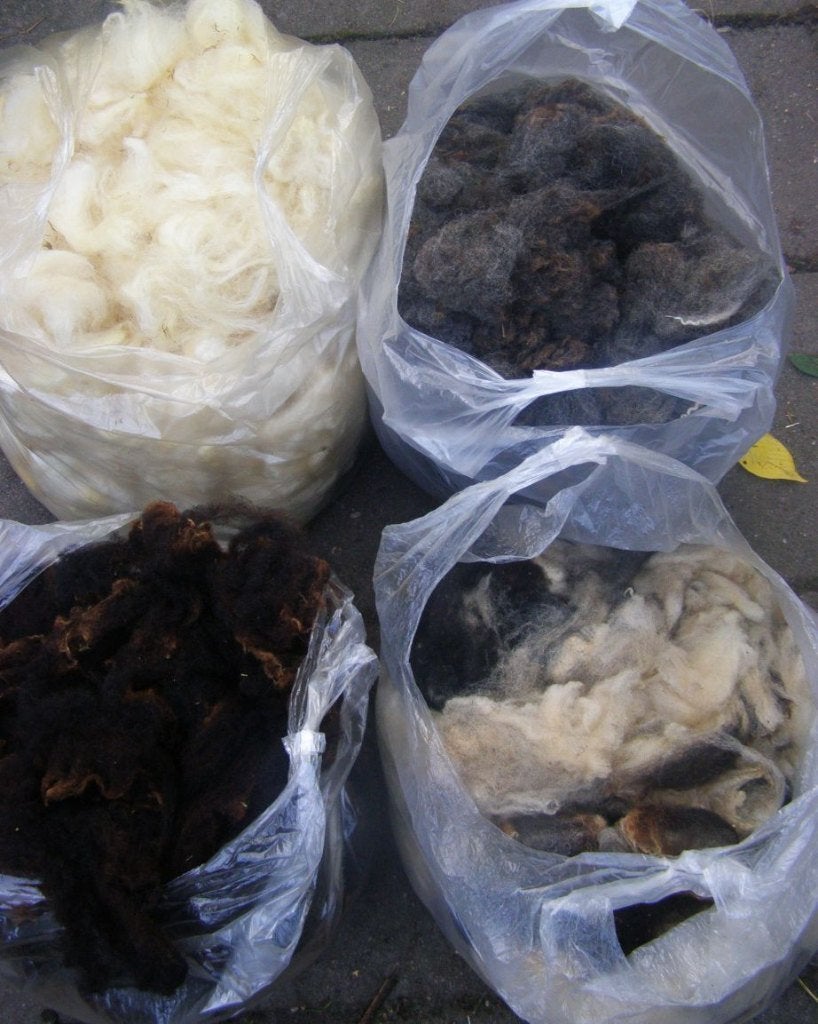 Nerderlands spinpakket schapenwol spinnen wol, Ophalen of Verzenden, Nieuw, Spinwol