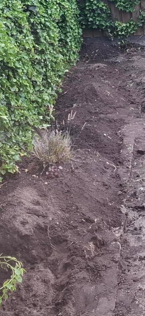 GRATIS ca. 7m3 Zwarte grond incl. schephulp, Ophalen, Tuinaarde