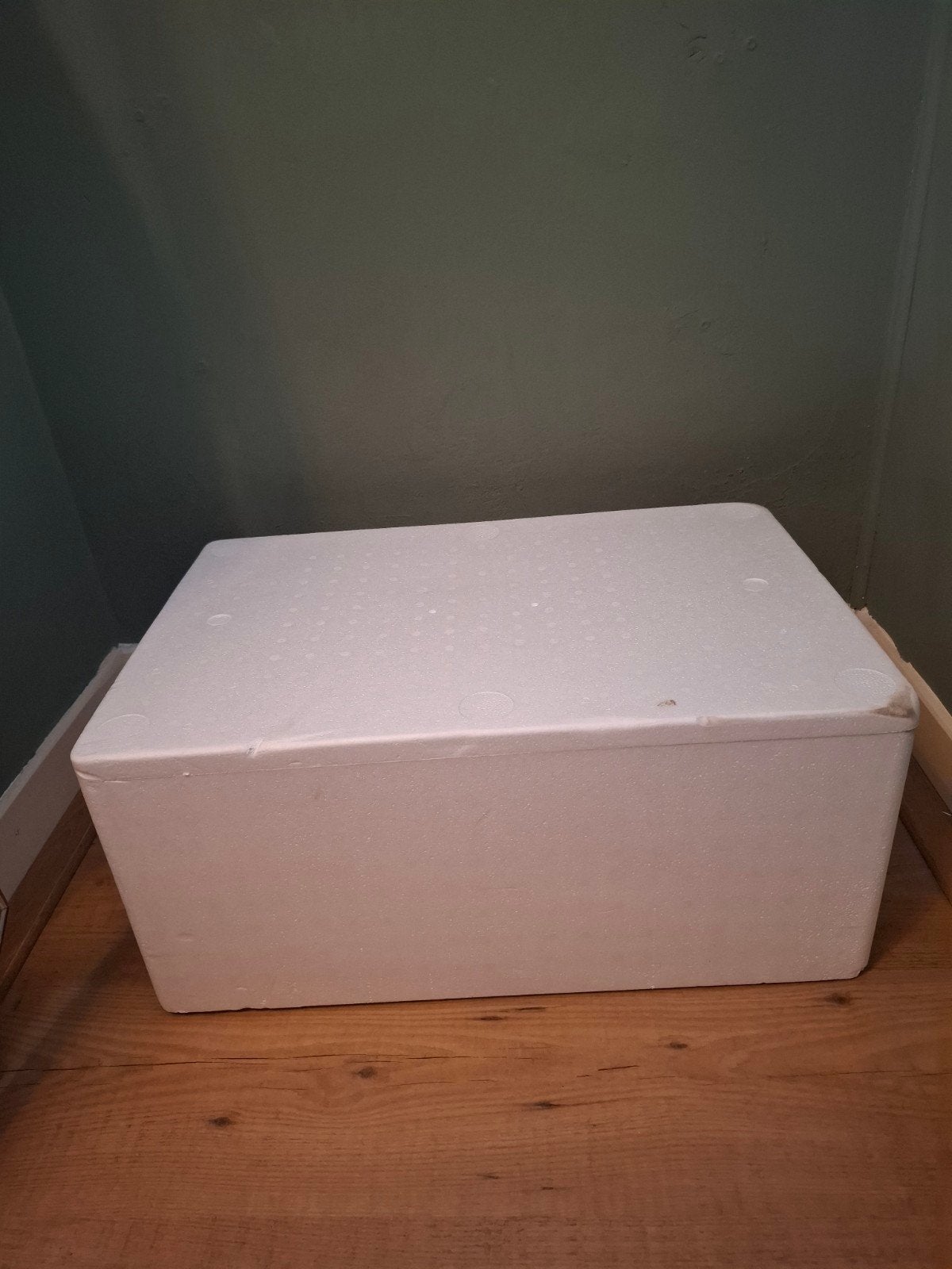 EPS box - koelbox - 600x400x269mm (buitenmaat), Caravans en Kamperen, Koelboxen, Ophalen, Gebruikt, Koelbox, Koelelement