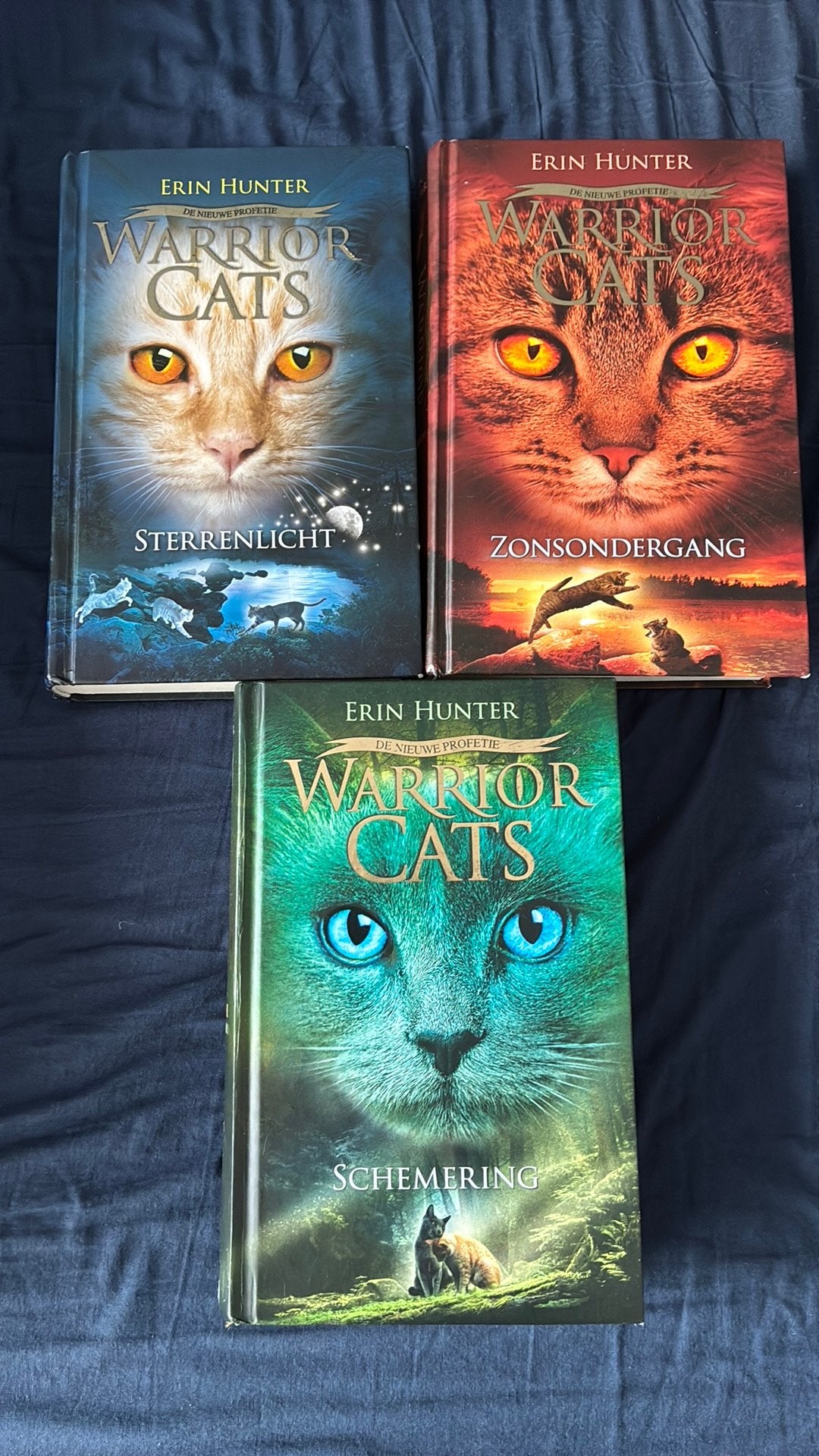 Warrior cats serie 2, Ophalen, Gelezen