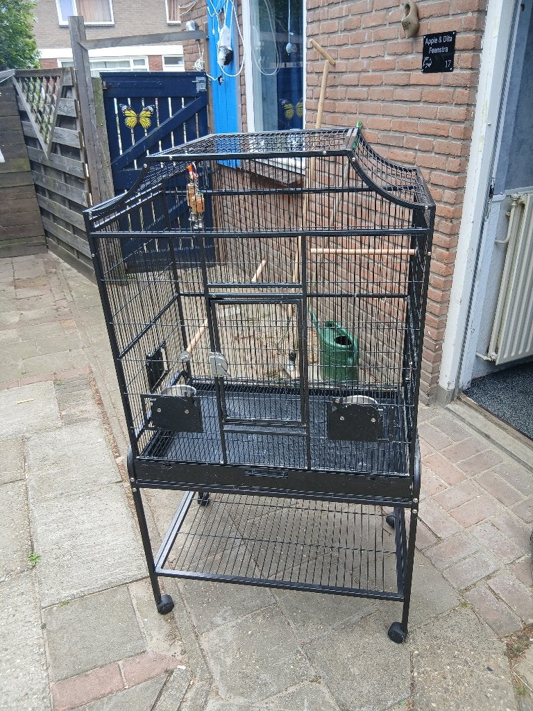 Papagaaien kooi, Meerdere dieren, Papegaai
