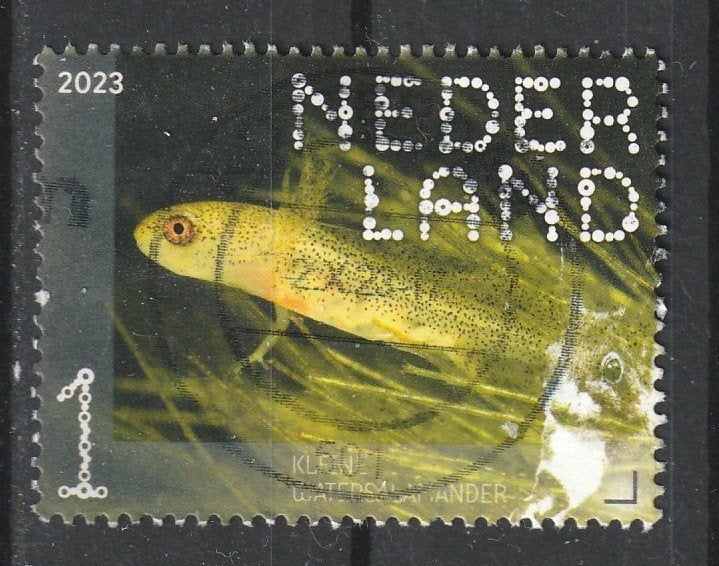 168 N beleef de natuur 2023 kleine Salamander, Verzenden, Na 1940, Gestempeld