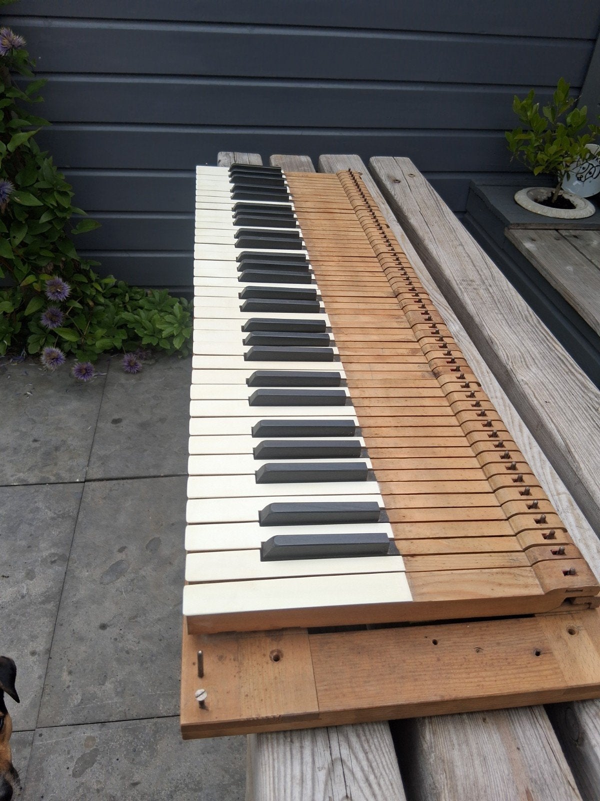 Orgel harmonium, Muziek en Instrumenten, Ophalen of Verzenden, Gebruikt, 1 klavier, Harmonium