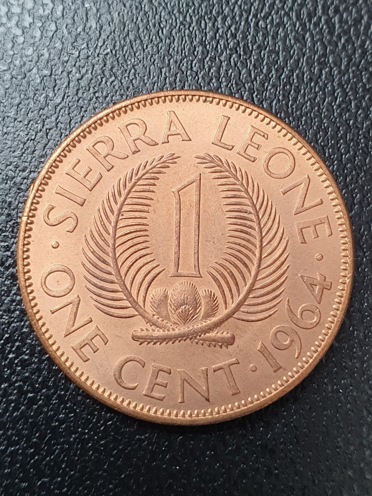 1 cent munt uit 1964 Sierra Leone, Ophalen of Verzenden, Overige landen, Losse munt