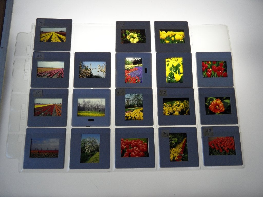 dia  18x  bloemen  helder en scherp, Verzenden, 1980 tot heden, Foto, Zo goed als nieuw