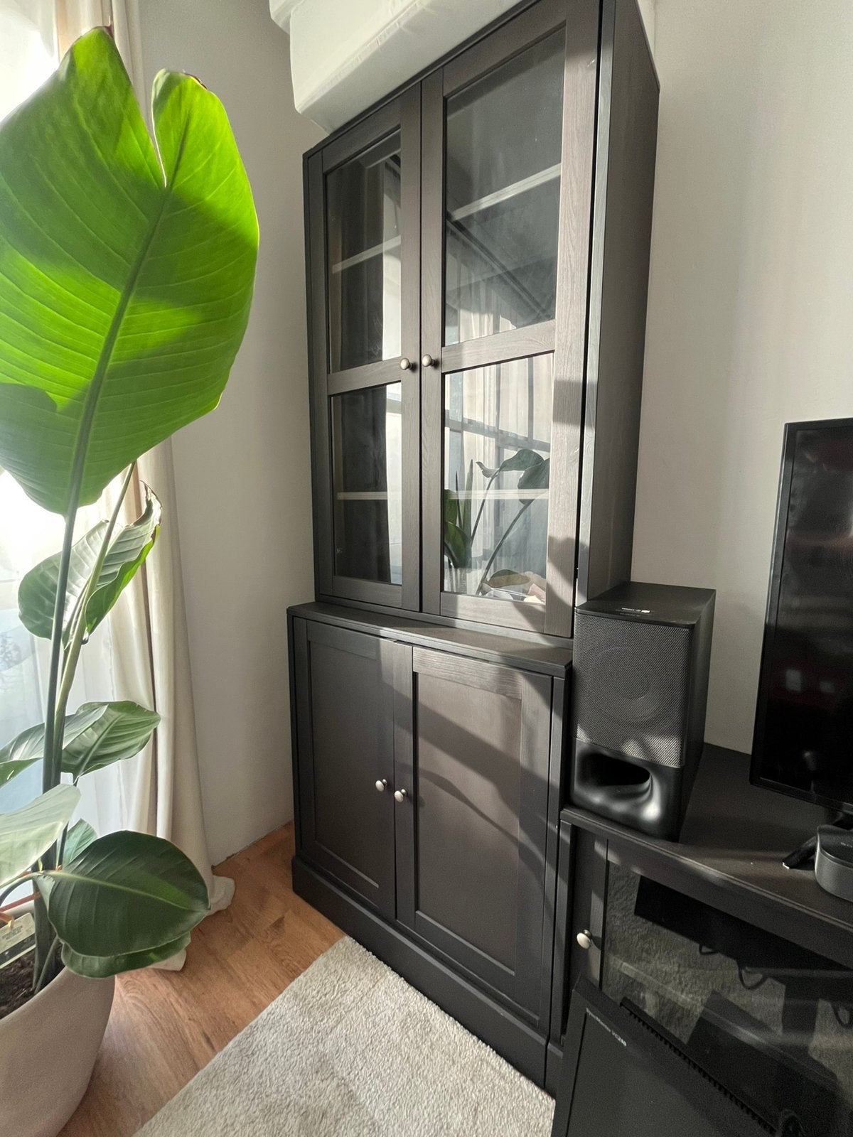 IKEA HAVSTA Storage Cabinet with Glass Doors – Black/Brown, Ophalen, 50 tot 100 cm, Zo goed als nieuw, Minder dan 100 cm